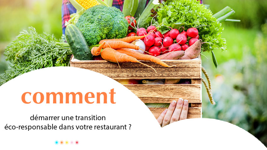 Comment démarrer une transition éco-responsable dans votre restaurant ?